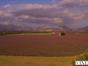 VIXEN A perfect view for unforgettable passionate sex 3/16