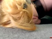 Red and Lucy lick each other then play with a toy 8/16