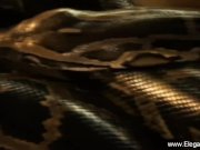 Intimate Feelings Revealin gNature Girl From Asia 14/16