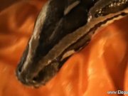 Intimate Feelings Revealin gNature Girl From Asia 16/16