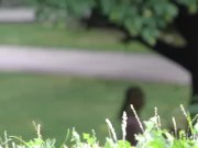 HUNT4K. Young lovers decided that sex for money is a good chance 1/16