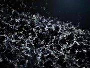 Foot Fetish Piss Play 1/16