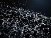 Katy Rose Fucking And Pissing In The Afternoon 2/16