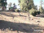 TOUGHLOVEX Emma Hix takes the Toughlove Challenge 2/16