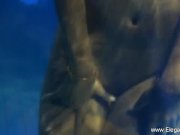 Seduction And Lust From Erotic India 16/16