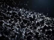 Candles and Pee for Their Pussies 1/16