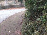 Piss Puddles In The Street 1/16