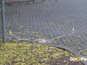 Piss Puddles In The Street 16/16