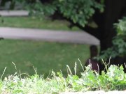 HUNT4K. Incroyable blonde dollface donne la bouche 1/16