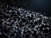 Naughty Waterworks Festivities 2/16