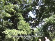 HUNT4K. Kluger Jäger findet einen Weg, junge Babe mit Bargeld zu verführen 2/16