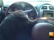 Black Babe Stephanie Blowjobs and Facials 5/16