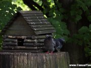 Casual Teen Sex - Amalia Davis - Casual sex with bigtitted teen 1/16