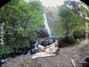 Amateur Yanks Tasty Luscious Teases Her Clit 15/16