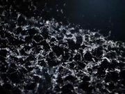 Hot Lesbians Find Plenty Of Ways To Play With Piss 2/16