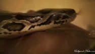Sexy lesbians cuddle - A snake to cuddle