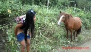 Asian jungle cats - Hd peeing next to horse in jungle
