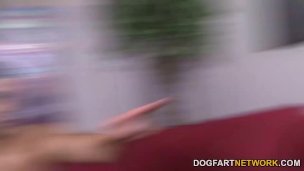 Ana Foxxx é fodida por dois caras brancos