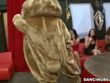 Crashing the club dancing bear style   