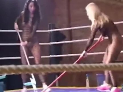 Babes in catsuits catfighting in a ring box