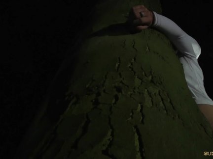 Midnight Forest Bdsm