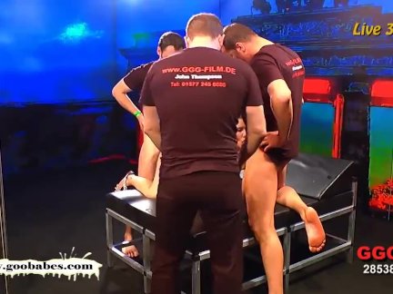 Девушка смело трахается раком в лесу со своим любимым
