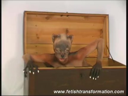 flexible catwoman