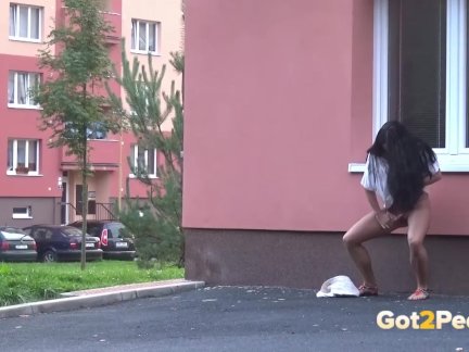 Got2Pee - Peeing Women Compilation 005