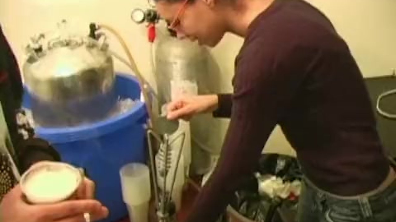 Sex and alcohol at the party - RedTube