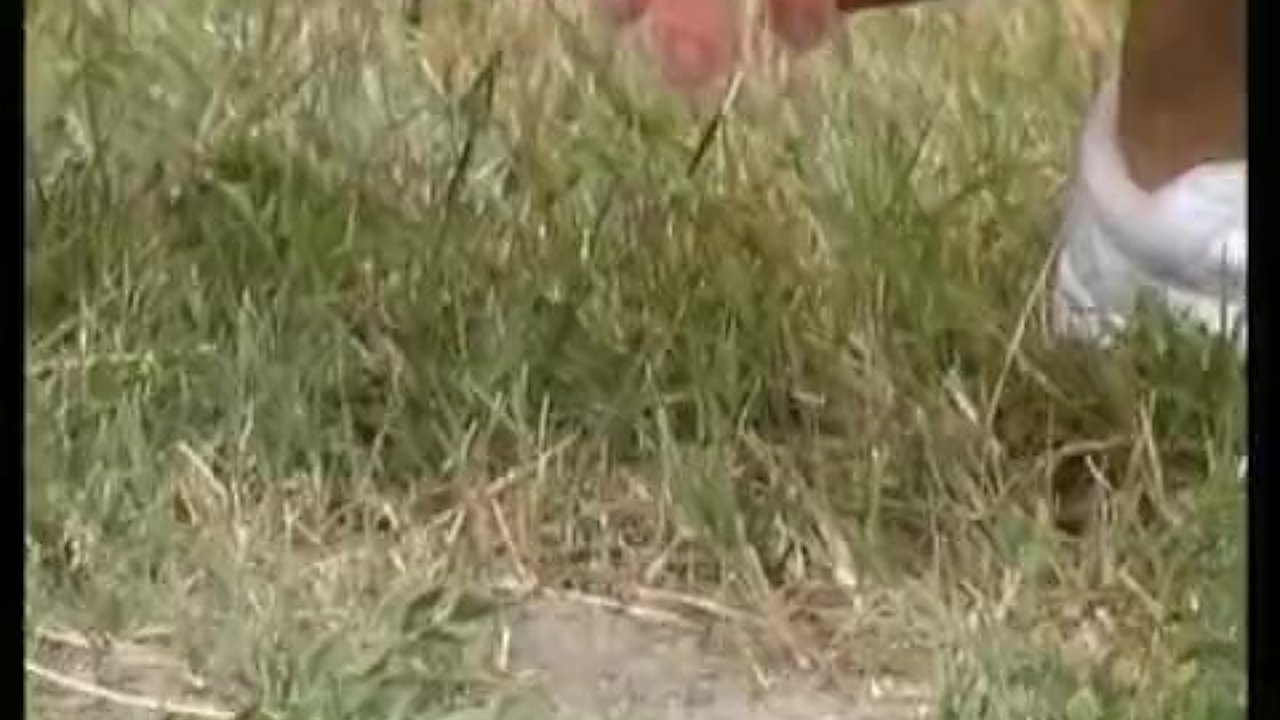 Peeing compilation - Free Sex Video - RedTube