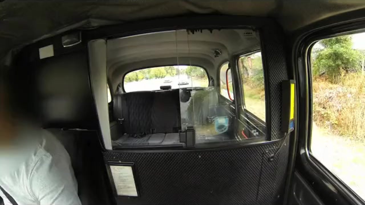 FakeTaxi - Hot South African blonde  - RedTube