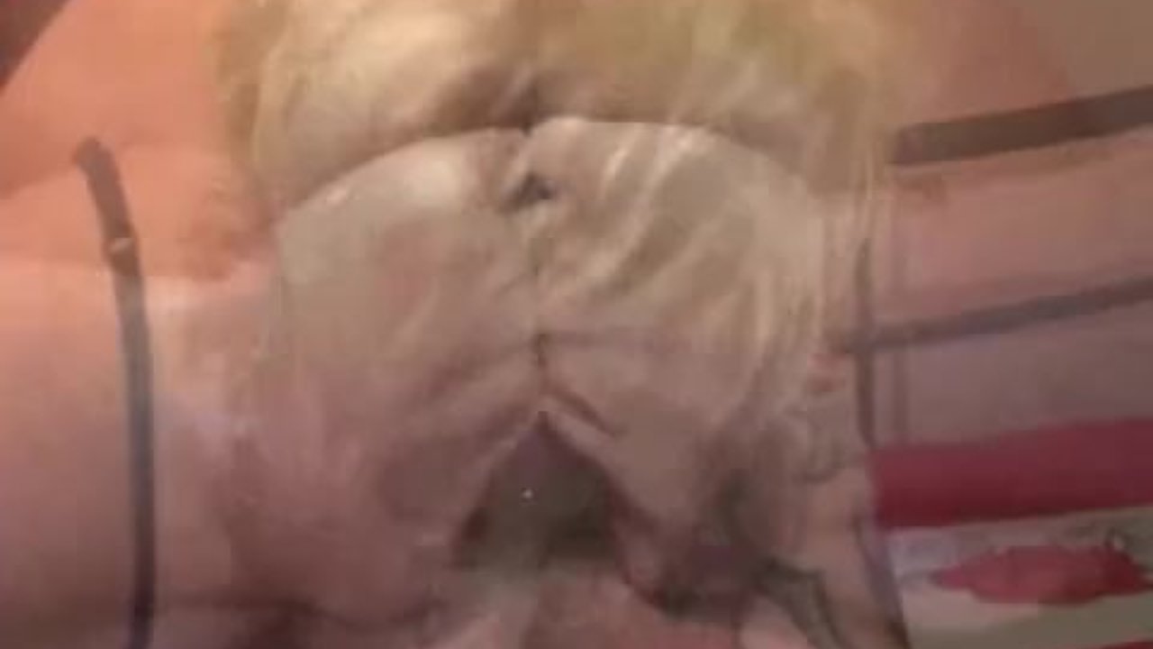 Huge cola bottle fuck and fisting  orgasms - RedTube