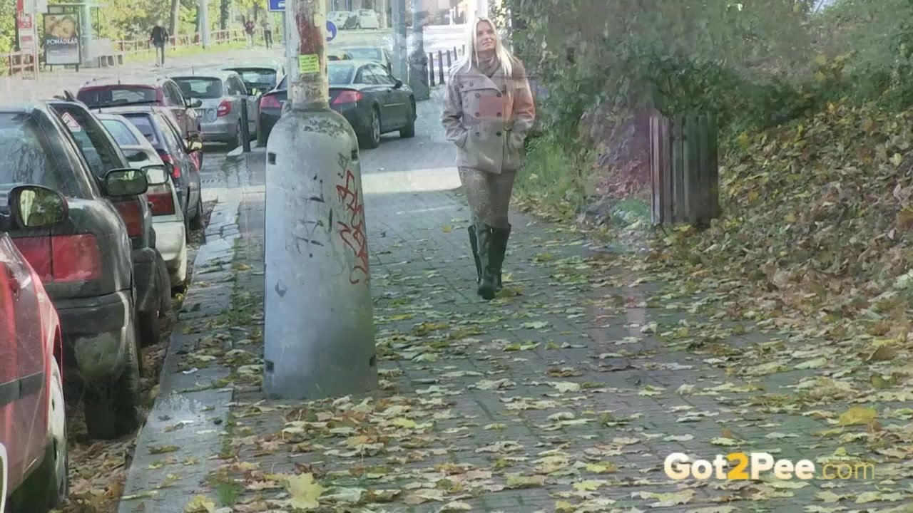 Got2Pee - Peeing Women Compilation 005 - RedTube