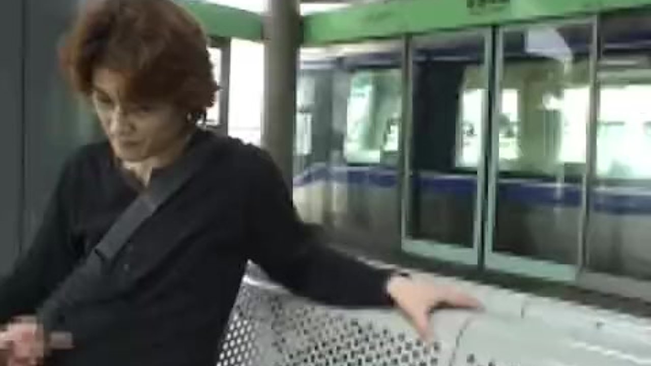 Subtitle Japanese public blowjob train streak - RedTube