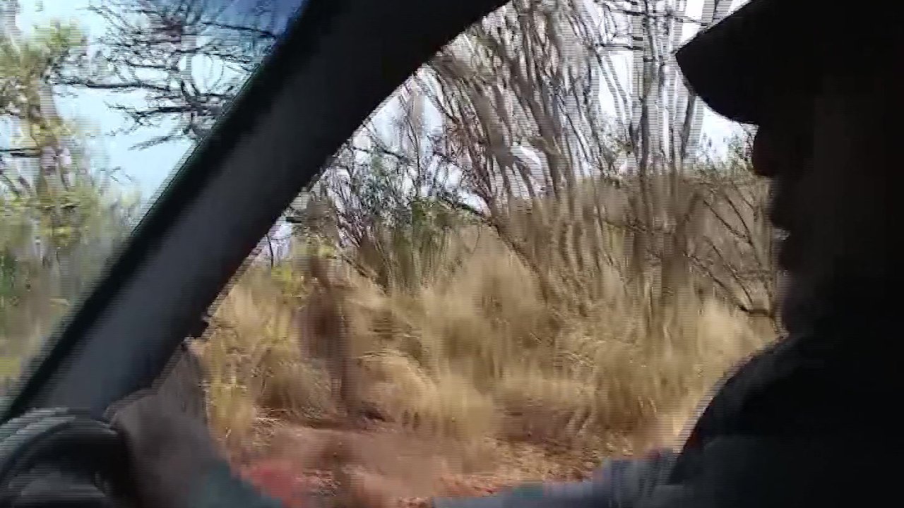 hot sex at my african safari trip - Free Sex Video - RedTube