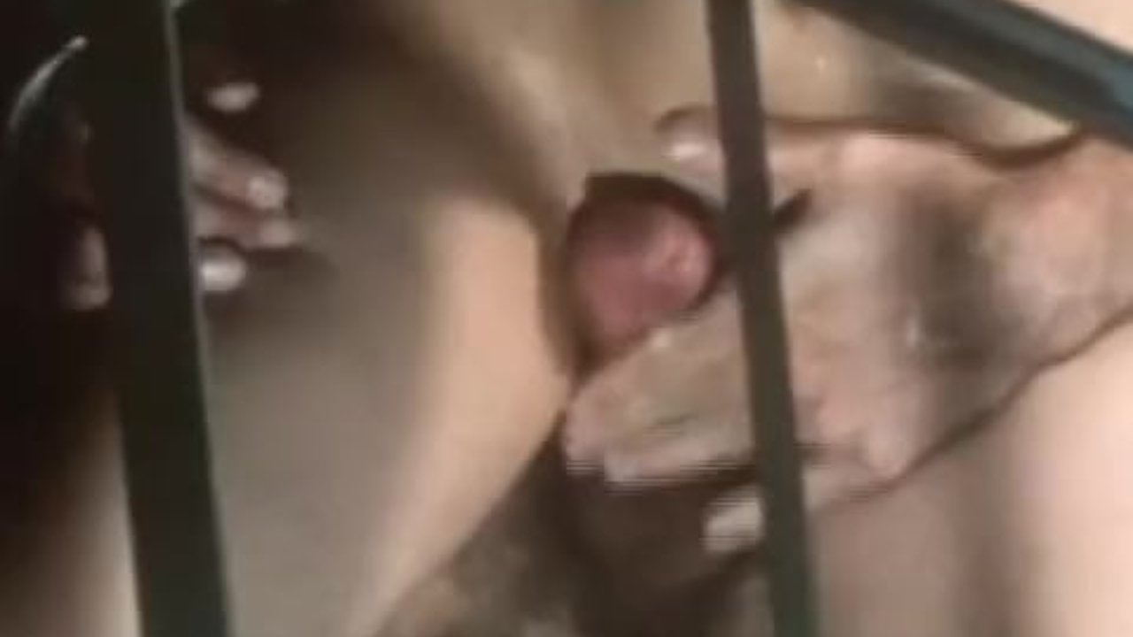Vintage porn From The Seventies - RedTube