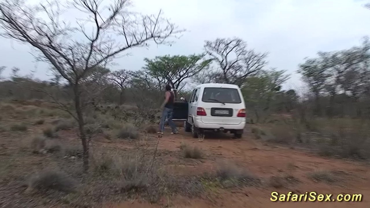 african safari groupsex fuck orgy - RedTube