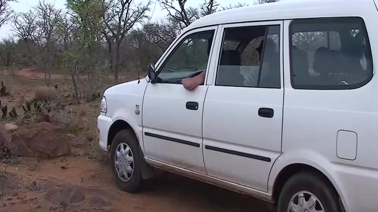 wild african safari sex orgy - Free Sex Video - RedTube