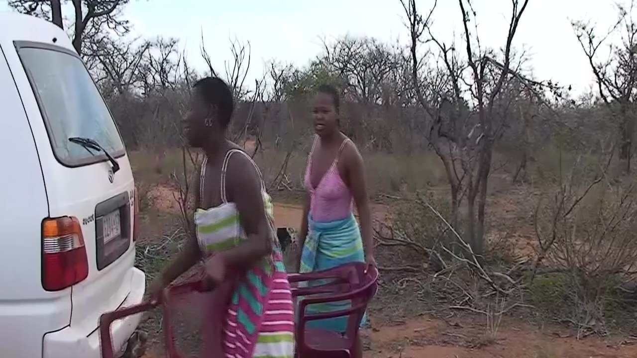 wild african safari sex orgy - Free Sex Video - RedTube