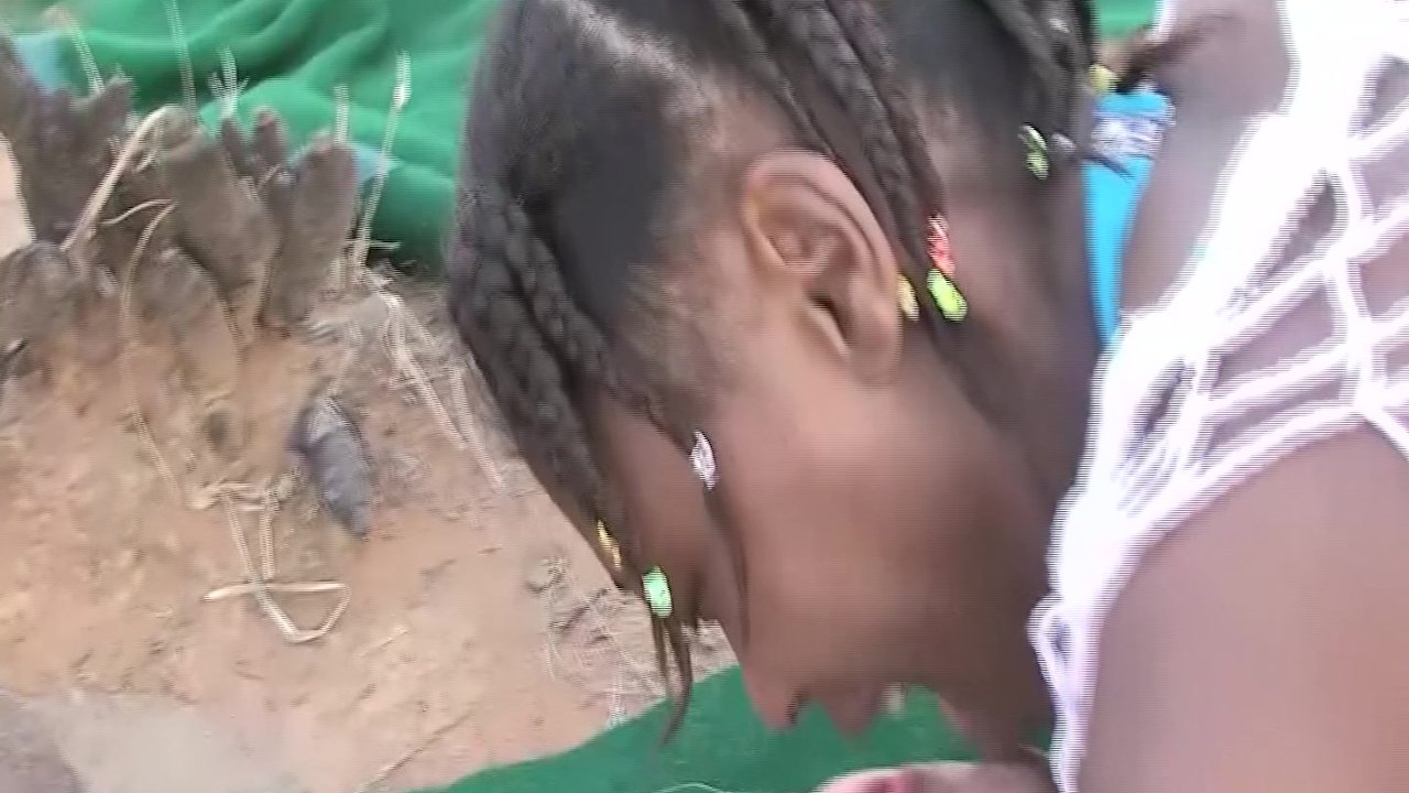 wild african safari sex orgy - Free Sex Video - RedTube