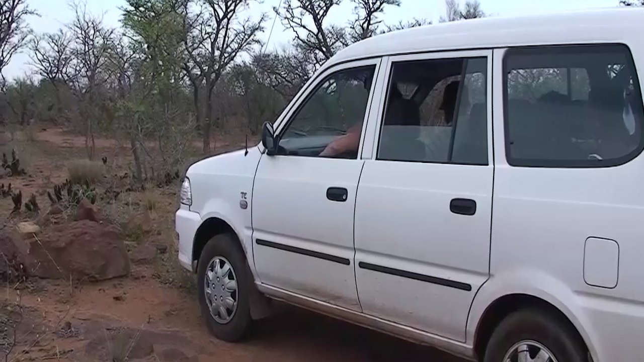 hot african safari sex orgy - Free Sex Video - RedTube