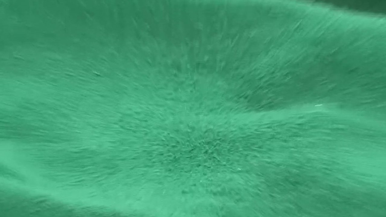 hot african safari sex orgy - Free Sex Video - RedTube