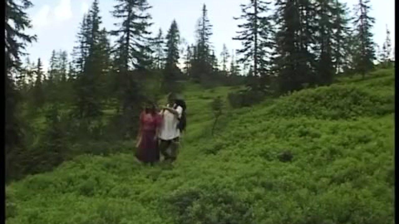 german couple fucks in the mountains - RedTube