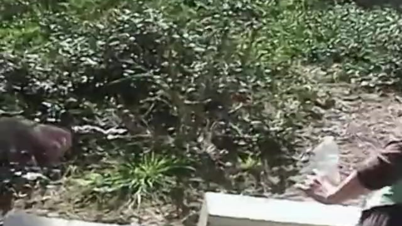 Real amateur hippie couple fucking in public - Free Sex Video - RedTube