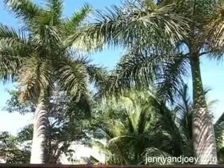 Outdoor tropical blowjob
